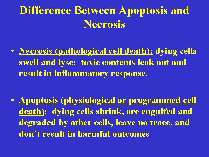 Difference Between Apoptosis and Necrosis • Necrosis (pathological cell death): dying cells swell and