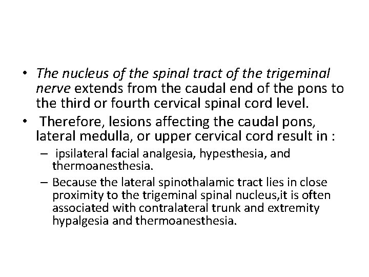  • The nucleus of the spinal tract of the trigeminal nerve extends from