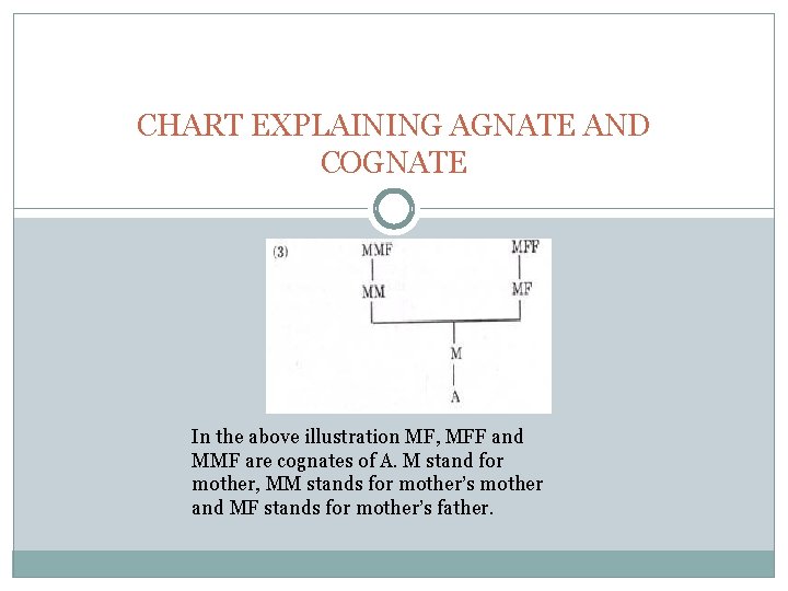 CHART EXPLAINING AGNATE AND COGNATE In the above illustration MF, MFF and MMF are