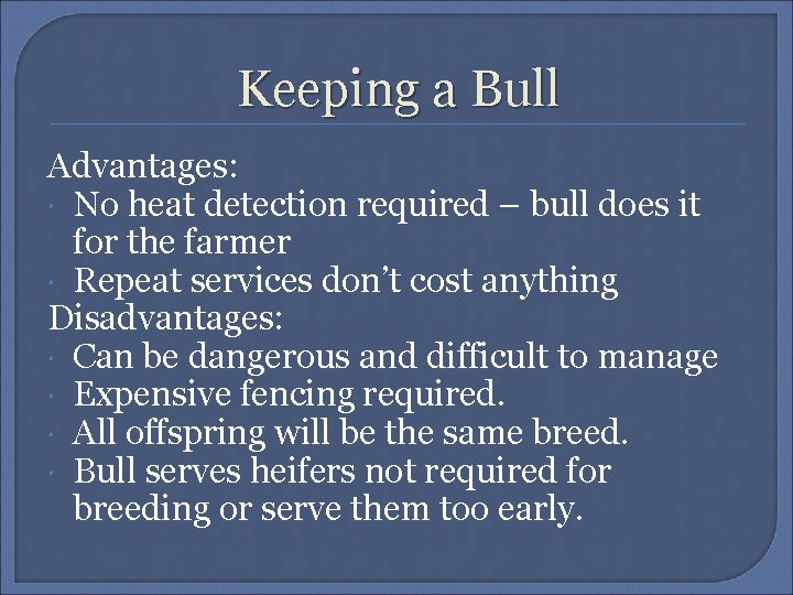 Keeping a Bull Advantages: No heat detection required – bull does it for the