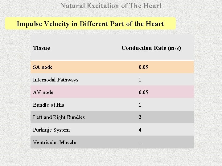 Natural Excitation of The Heart Impulse Velocity in Different Part of the Heart Tissue