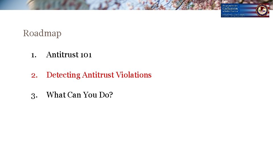 Roadmap 1. Antitrust 101 2. Detecting Antitrust Violations 3. What Can You Do? Roadmap 1. Antitrust 101 2. Detecting Antitrust Violations 3. What Can You Do?