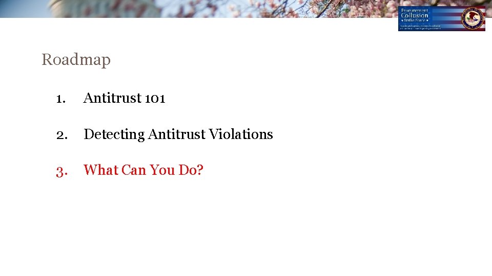 Roadmap 1. Antitrust 101 2. Detecting Antitrust Violations 3. What Can You Do? Roadmap 1. Antitrust 101 2. Detecting Antitrust Violations 3. What Can You Do?