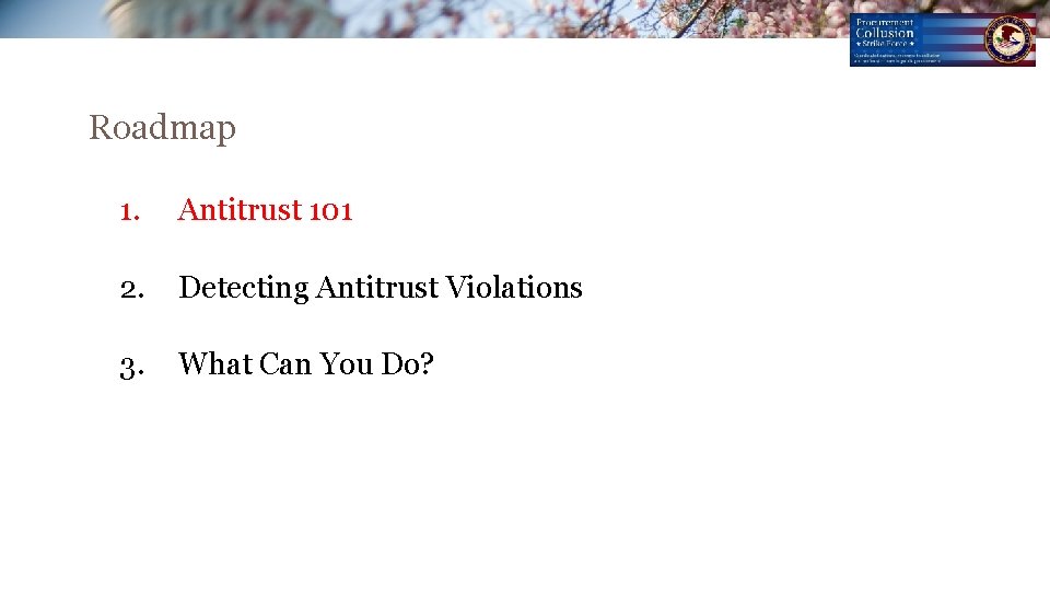 Roadmap 1. Antitrust 101 2. Detecting Antitrust Violations 3. What Can You Do? Roadmap 1. Antitrust 101 2. Detecting Antitrust Violations 3. What Can You Do?