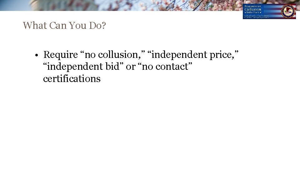 What Can You Do? • Require “no collusion, ” “independent price, ” “independent bid” What Can You Do? • Require “no collusion, ” “independent price, ” “independent bid”