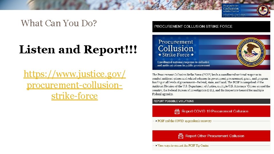 What Can You Do? Listen and Report!!! https: //www. justice. gov/ procurement-collusionstrike-force What Can You Do? Listen and Report!!! https: //www. justice. gov/ procurement-collusionstrike-force