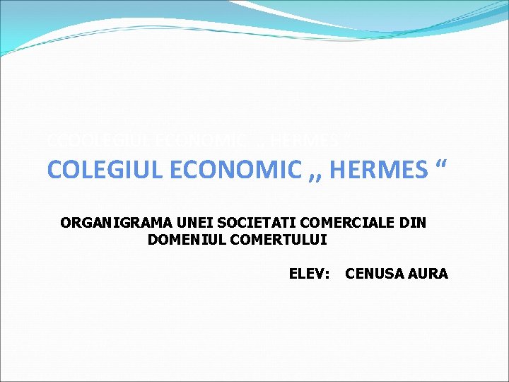 CCOOLEGIUL ECONOMIC , , HERMES “ COLEGIUL ECONOMIC , , HERMES “ ORGANIGRAMA UNEI