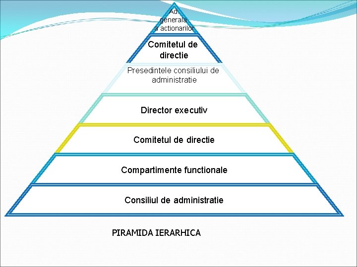 Ad. generala a actionarilor Comitetul de directie Presedintele consiliului de administratie Director executiv Comitetul