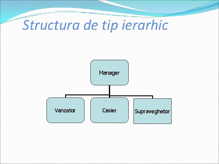 Structura de tip ierarhic Manager Vanzator Casier Supraveghetor 