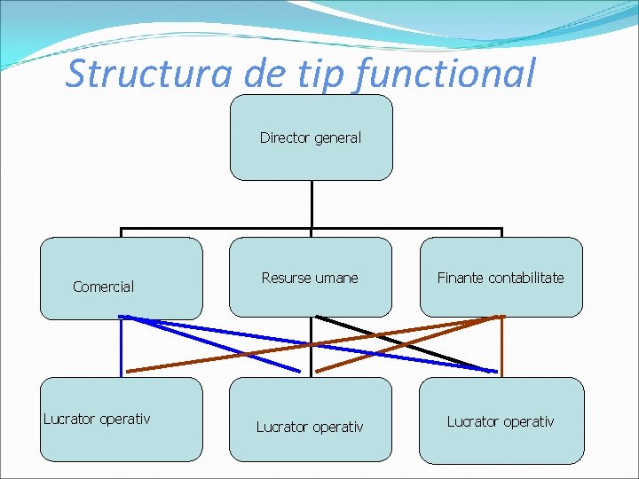 Structura de tip functional Director general Comercial Lucrator operativ Resurse umane Finante contabilitate Lucrator