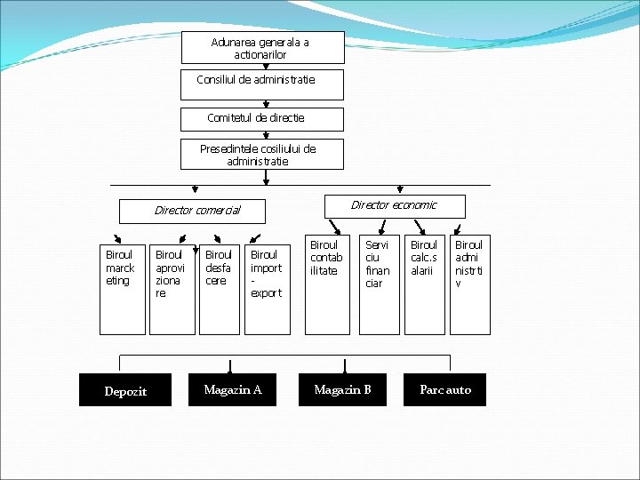 Adunarea generala a actionarilor Consiliul de administratie Comitetul de directie Presedintele cosiliului de administratie