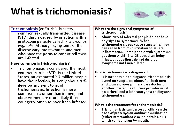 What is trichomoniasis? Trichomoniasis (or “trich”) is a very common sexually transmitted disease (STD)