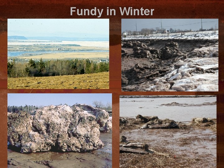 Fundy in Winter 