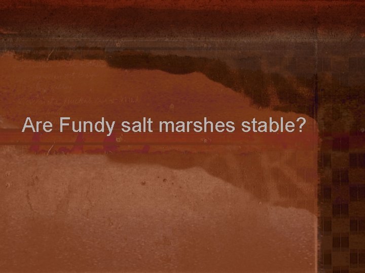 Are Fundy salt marshes stable? 
