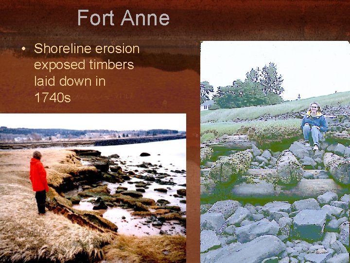 Fort Anne • Shoreline erosion exposed timbers laid down in 1740 s 