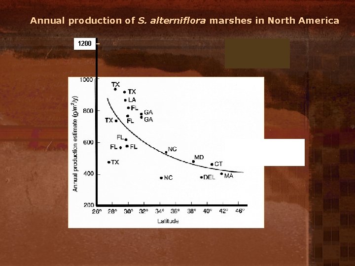 Annual production of S. alterniflora marshes in North America 1200 Windsor Grande Pre 