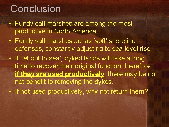 Conclusion • Fundy salt marshes are among the most productive in North America. •