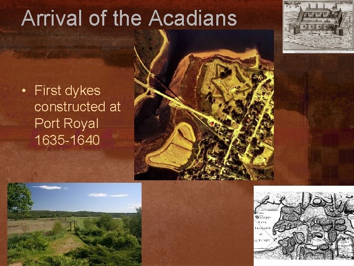 Arrival of the Acadians • First dykes constructed at Port Royal 1635 -1640 
