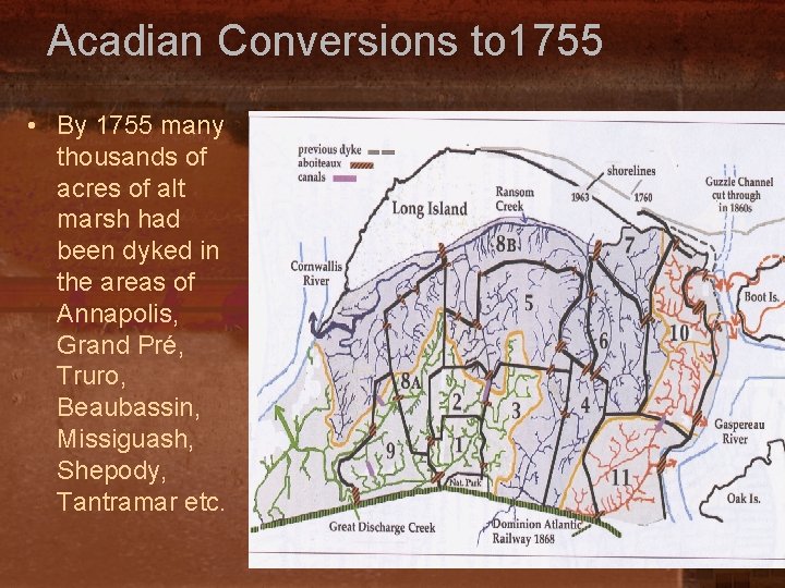 Acadian Conversions to 1755 • By 1755 many thousands of acres of alt marsh