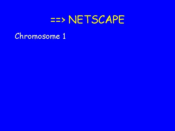 ==> NETSCAPE Chromosome 1 