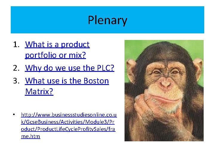 Plenary 1. What is a product portfolio or mix? 2. Why do we use