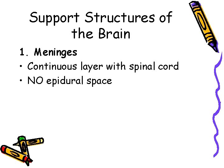 Support Structures of the Brain 1. Meninges • Continuous layer with spinal cord •