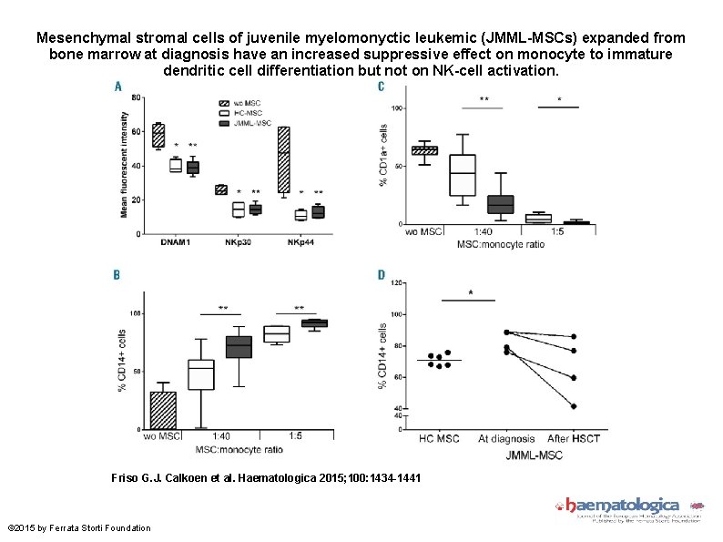 Mesenchymal stromal cells of juvenile myelomonyctic leukemic (JMML-MSCs) expanded from bone marrow at diagnosis
