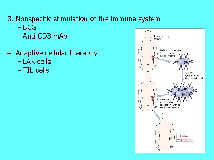 3. Nonspecific stimulation of the immune system - BCG - Anti-CD 3 m. Ab