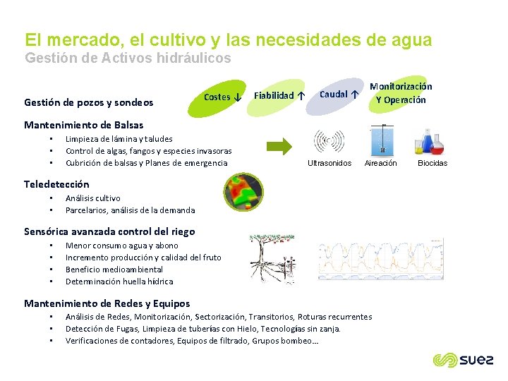 El mercado, el cultivo y las necesidades de agua Gestión de Activos hidráulicos Gestión