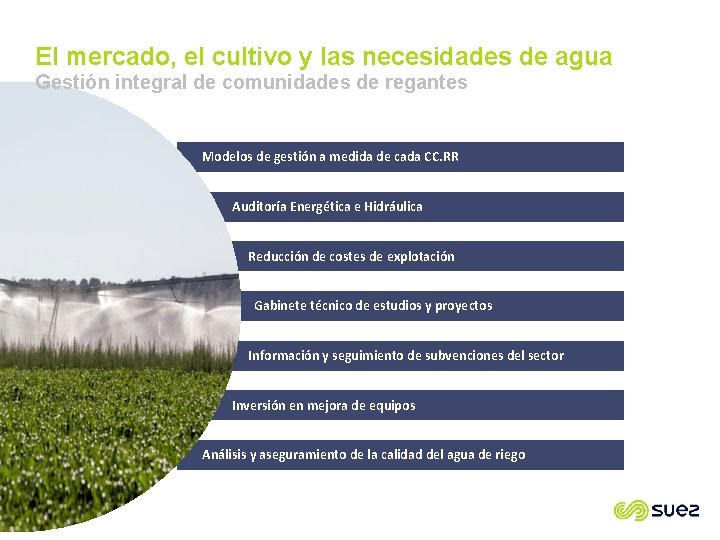 El mercado, el cultivo y las necesidades de agua Gestión integral de comunidades de