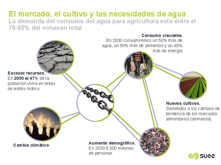 El mercado, el cultivo y las necesidades de agua La demanda del consumo del