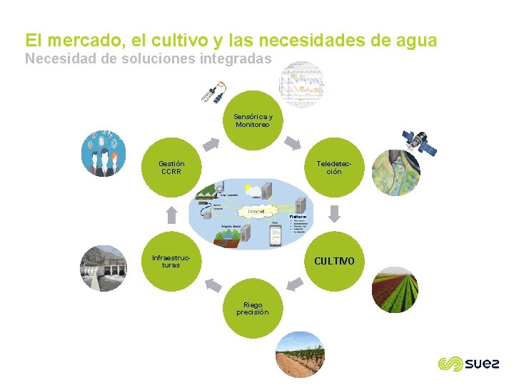 El mercado, el cultivo y las necesidades de agua Necesidad de soluciones integradas Sensórica