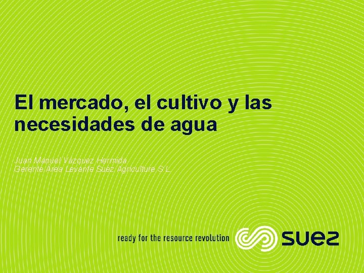 El mercado, el cultivo y las necesidades de agua Juan Manuel Vázquez Hermida Gerente