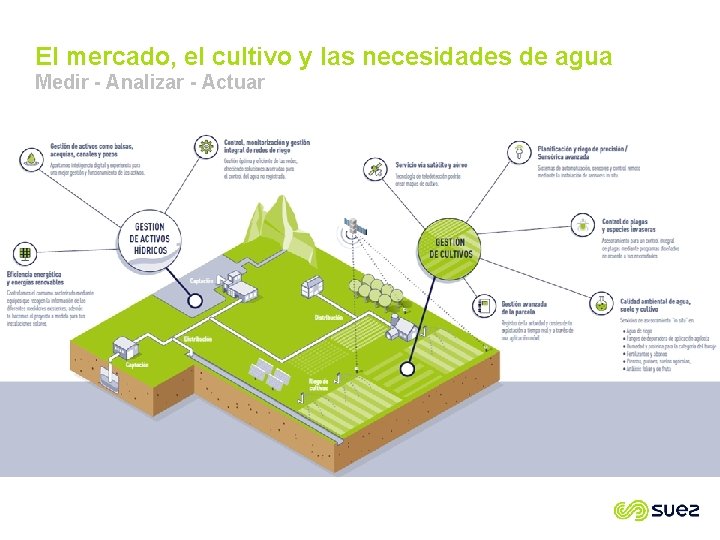 El mercado, el cultivo y las necesidades de agua Medir - Analizar - Actuar