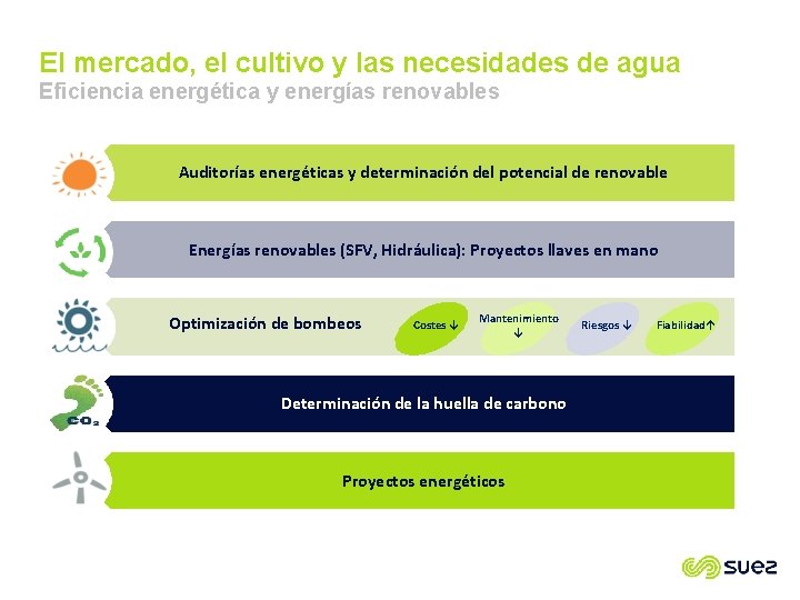 El mercado, el cultivo y las necesidades de agua Eficiencia energética y energías renovables