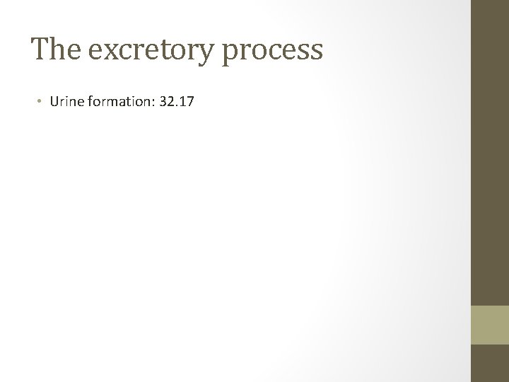 The excretory process • Urine formation: 32. 17 