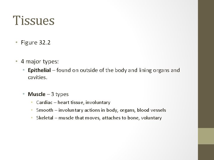 Tissues • Figure 32. 2 • 4 major types: • Epithelial – found on