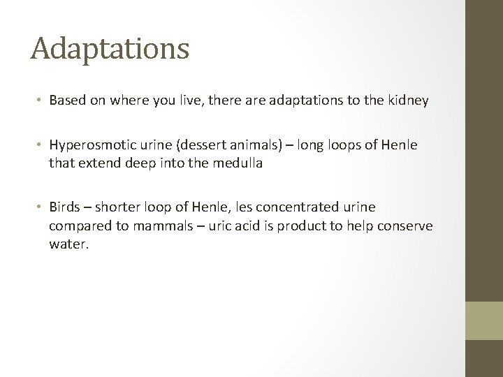 Adaptations • Based on where you live, there adaptations to the kidney • Hyperosmotic