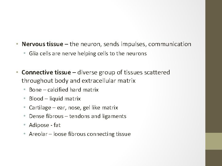  • Nervous tissue – the neuron, sends impulses, communication • Glia cells are
