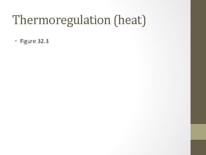 Thermoregulation (heat) • Figure 32. 3 