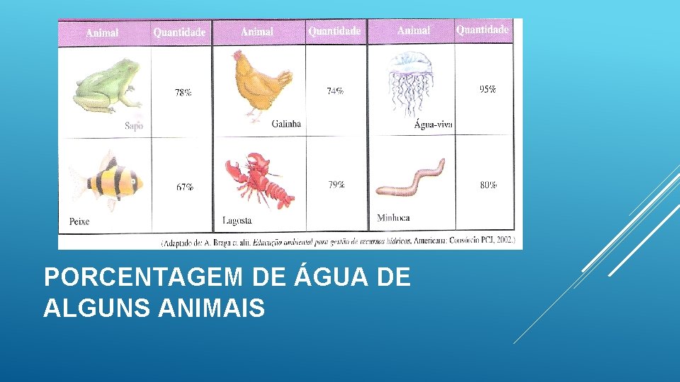 PORCENTAGEM DE ÁGUA DE ALGUNS ANIMAIS 