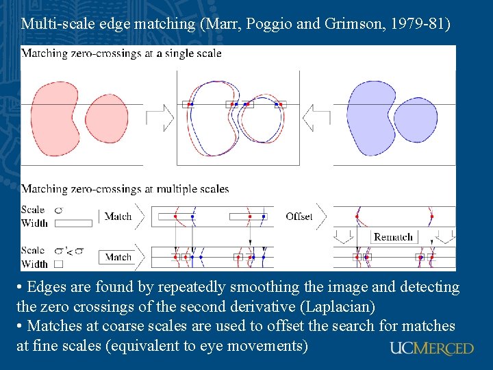 Multi-scale edge matching (Marr, Poggio and Grimson, 1979 -81) • Edges are found by