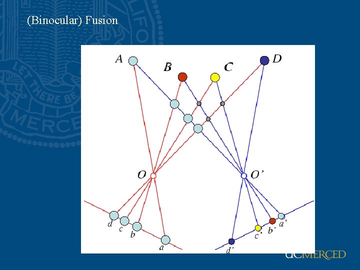 (Binocular) Fusion 