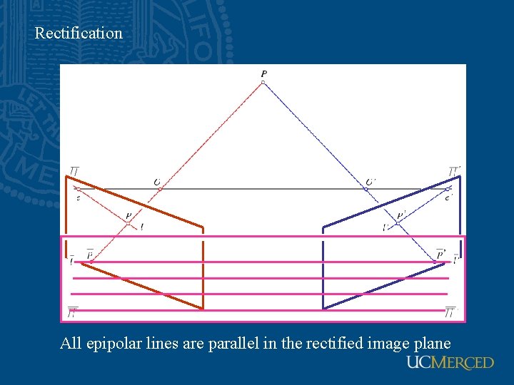 Rectification All epipolar lines are parallel in the rectified image plane 