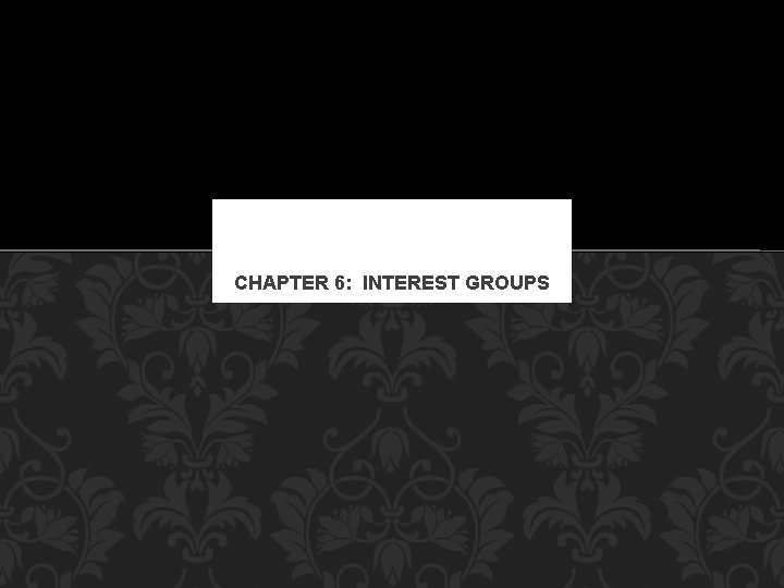 CHAPTER 6: INTEREST GROUPS 