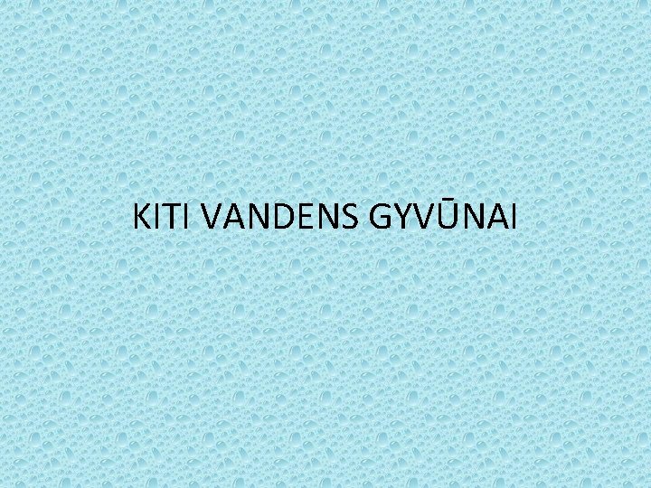 KITI VANDENS GYVŪNAI 