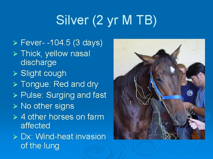 Silver (2 yr M TB) Fever- -104. 5 (3 days) Ø Thick, yellow nasal