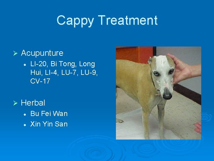 Cappy Treatment Ø Acupunture l Ø LI-20, Bi Tong, Long Hui, LI-4, LU-7, LU-9,