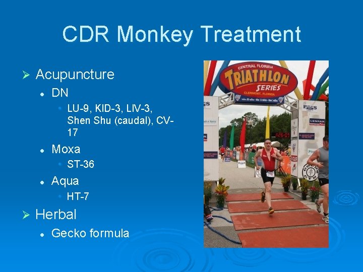 CDR Monkey Treatment Ø Acupuncture l DN • LU-9, KID-3, LIV-3, Shen Shu (caudal),