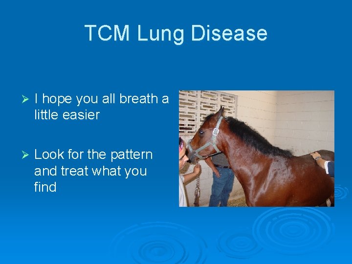TCM Lung Disease Ø I hope you all breath a little easier Ø Look